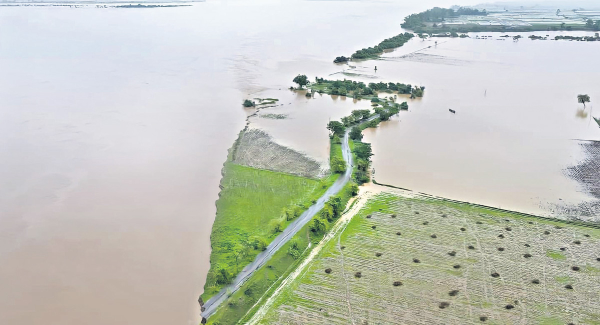 Incessant rains: Telangana government advises people to stay home