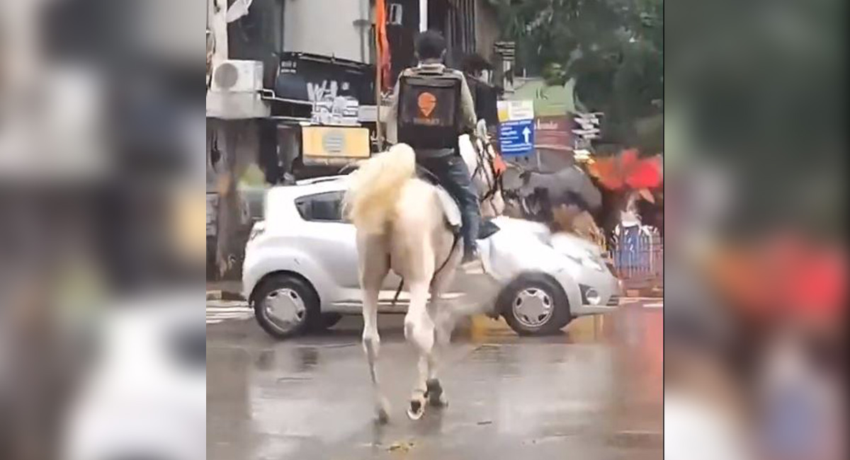 Swiggy delivers food on horse? The internet asks, app replies