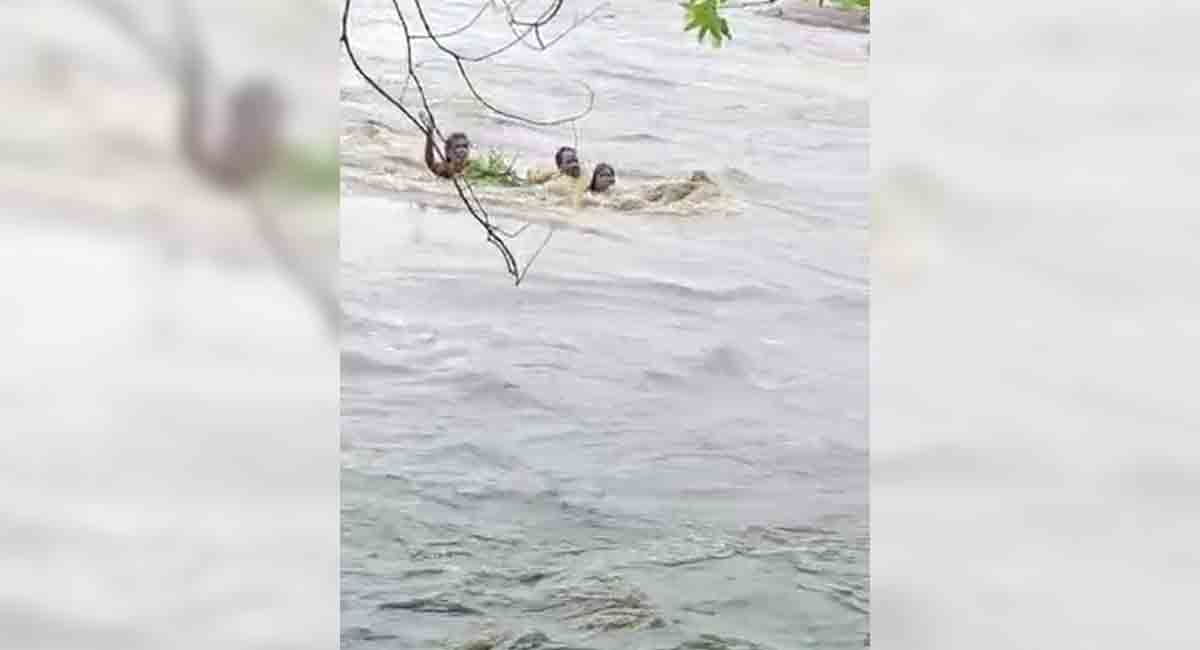 Kothagudem: Woman washed away in stream in Dummugudem mandal