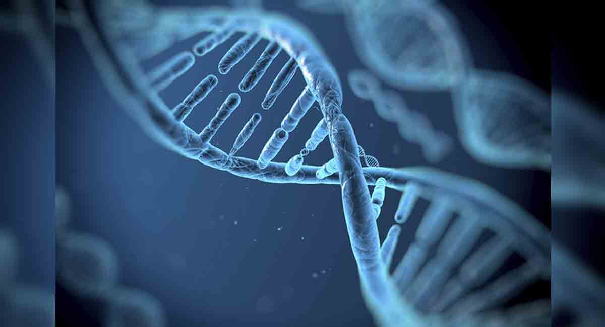 Health and Tech: The promise of gene therapy to cure cancers