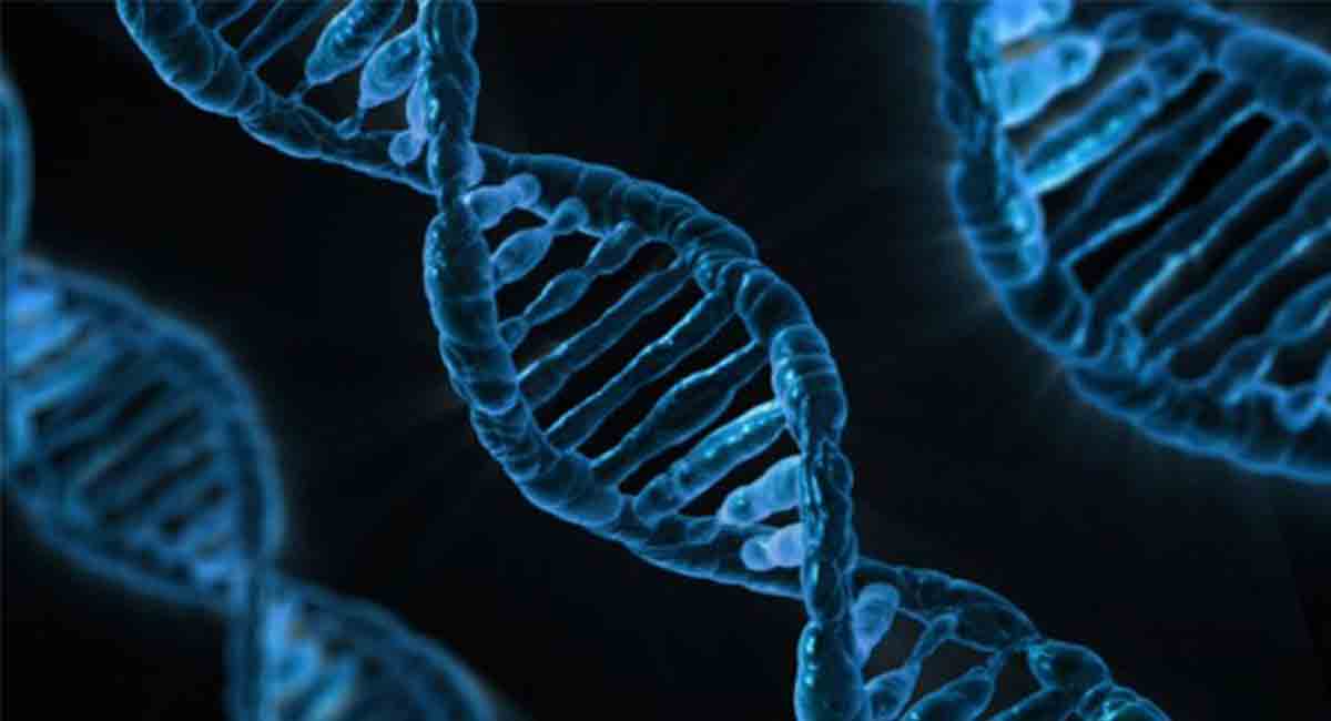 Some types of itches are genetic related: Expert