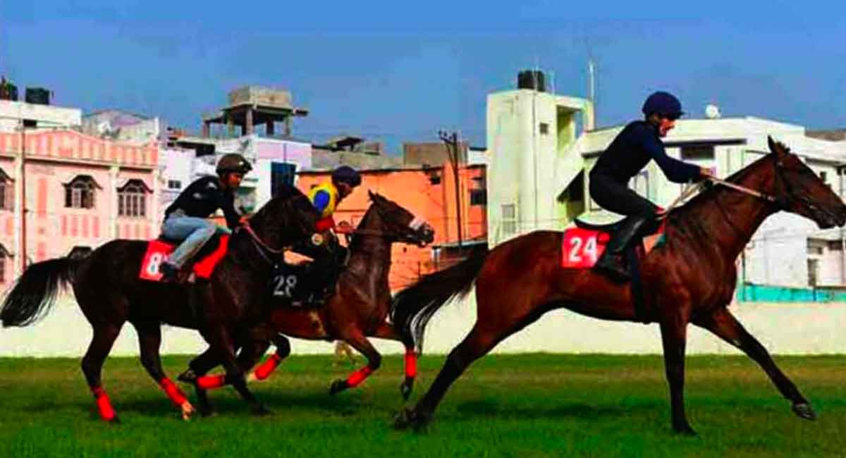 Horse Racing: Lake Tahoe has the edge in Bengaluru feature