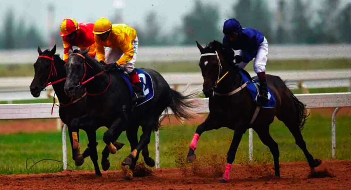 Horse Racing: Emelda fancied for Mysuru feature