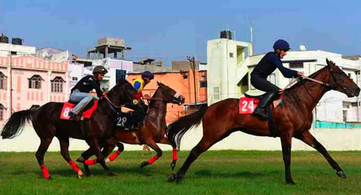 Horse Racing: My Opinion has edge in Mysuru feature