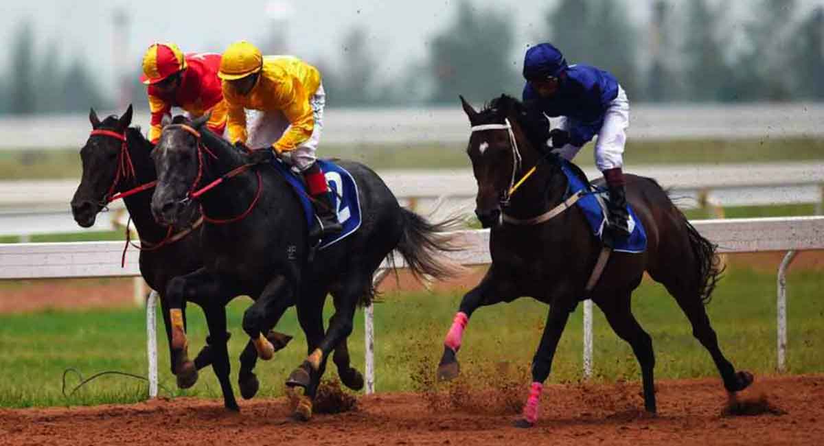 Horse Racing: Snowfall fancied for Pune feature