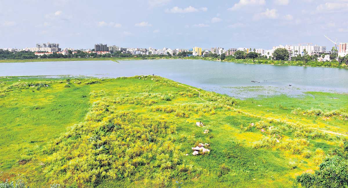 Revival of Kapra Lake on cardsTelangana Today