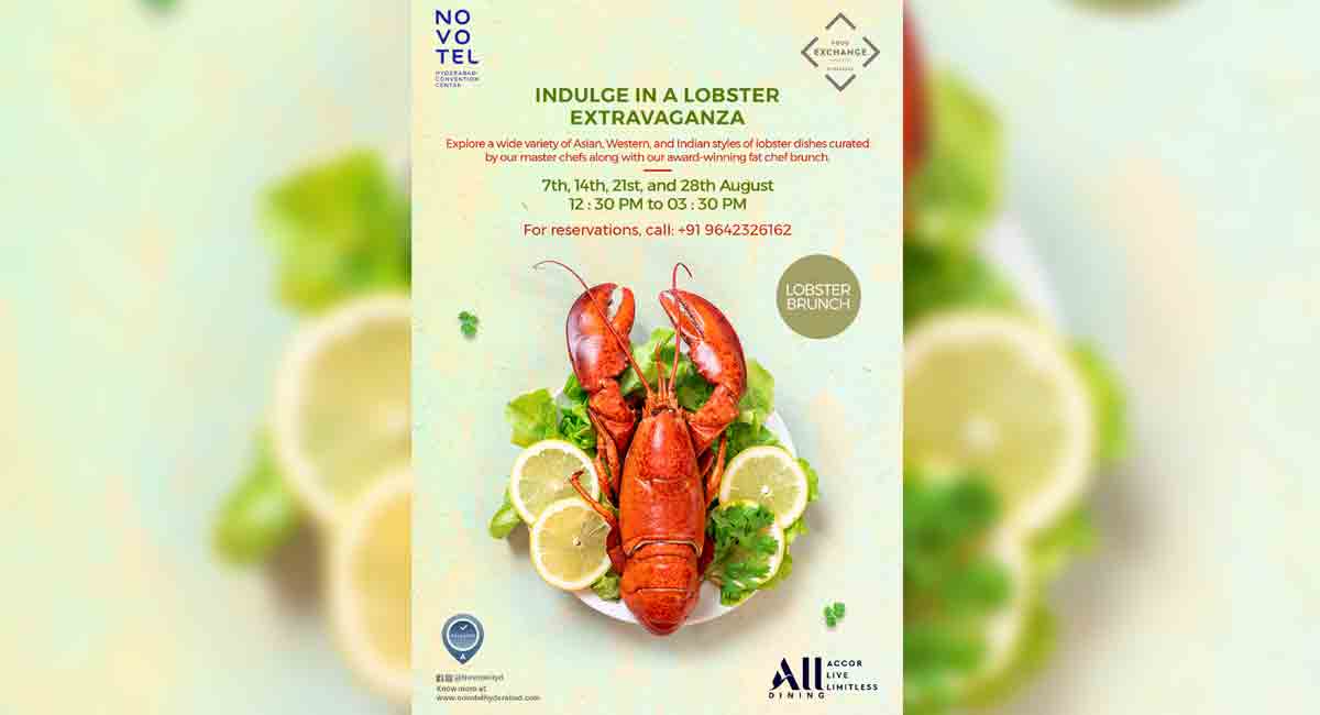 Love lobsters? Head here to satisfy your cravings