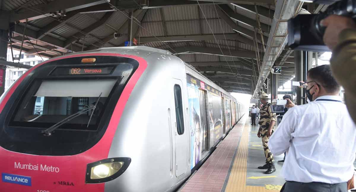 MMRCL to SC: No tree cutting in Aarey, only some branches & bushes removed