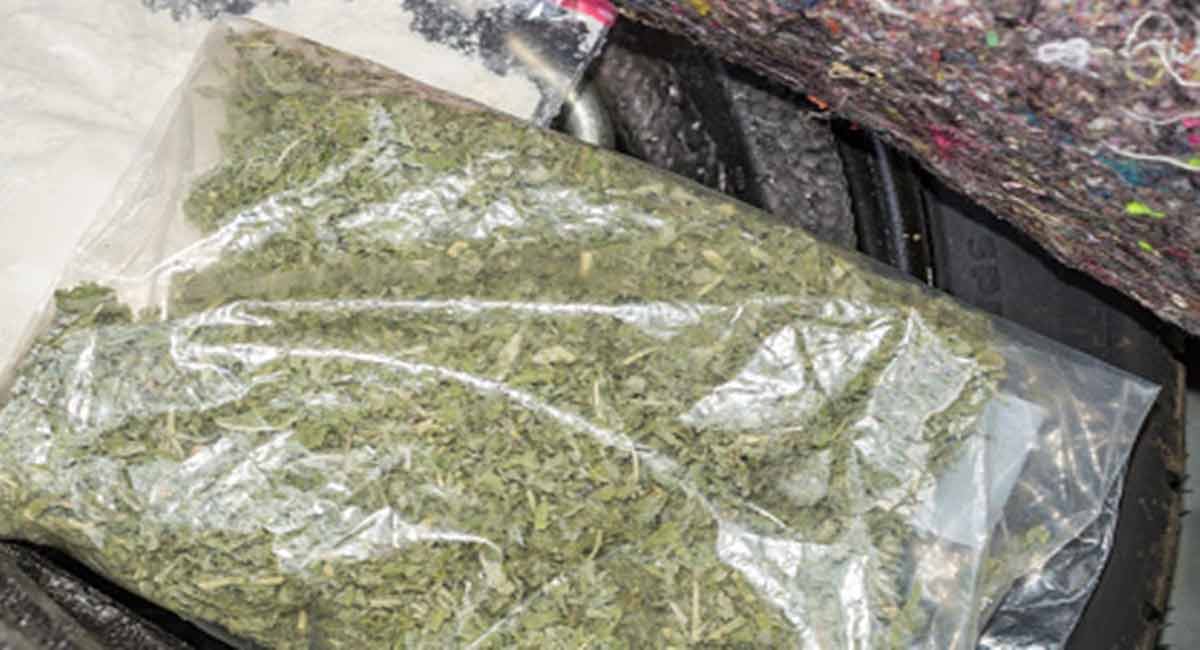 NCB Team Arrests 4 Drug Peddlers, Recovers 206 Kg Cannabis-Telangana Today