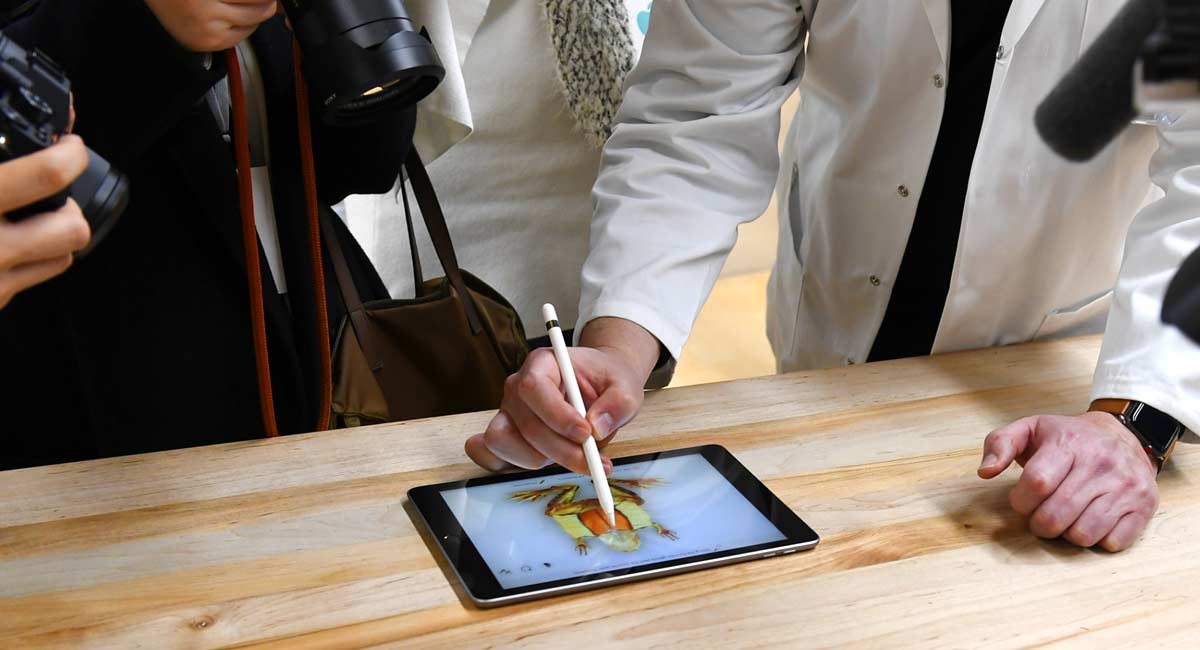 Microsoft Office to support Apple Pencil’s handwriting-to-text feature