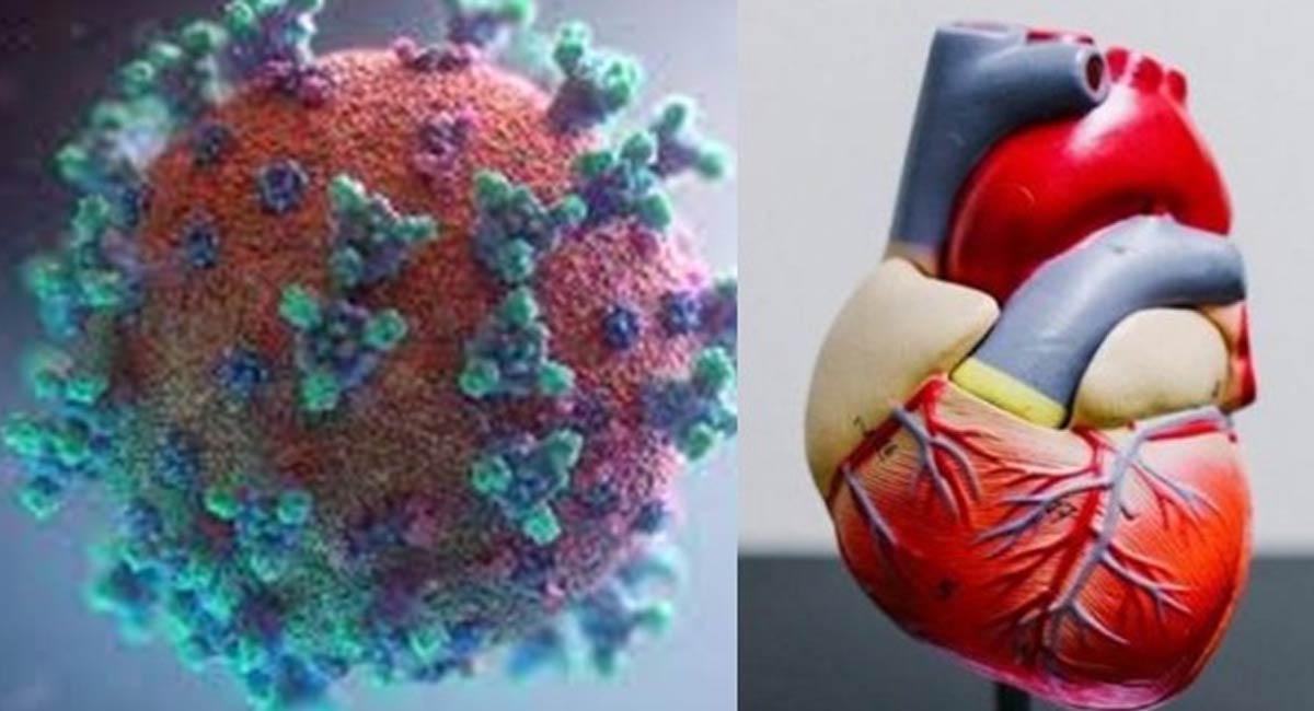 New Covid-like rapid test to spot cancers, heart disease more easily