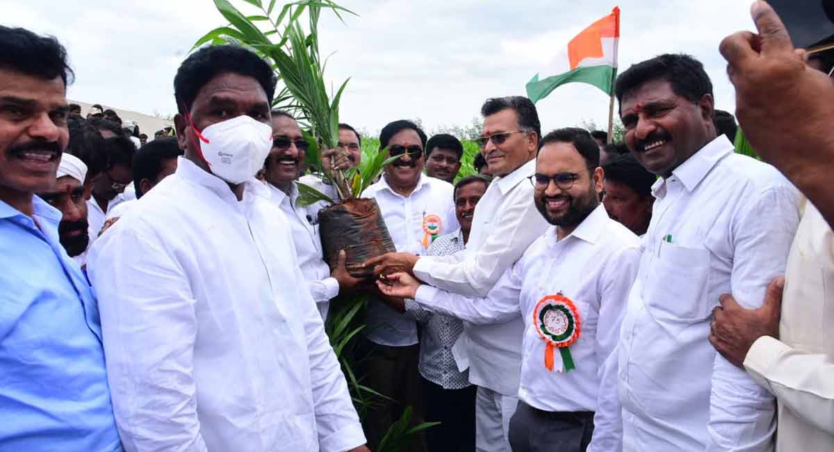 Oil palm saplings distributed to farmers in Mahabubabad