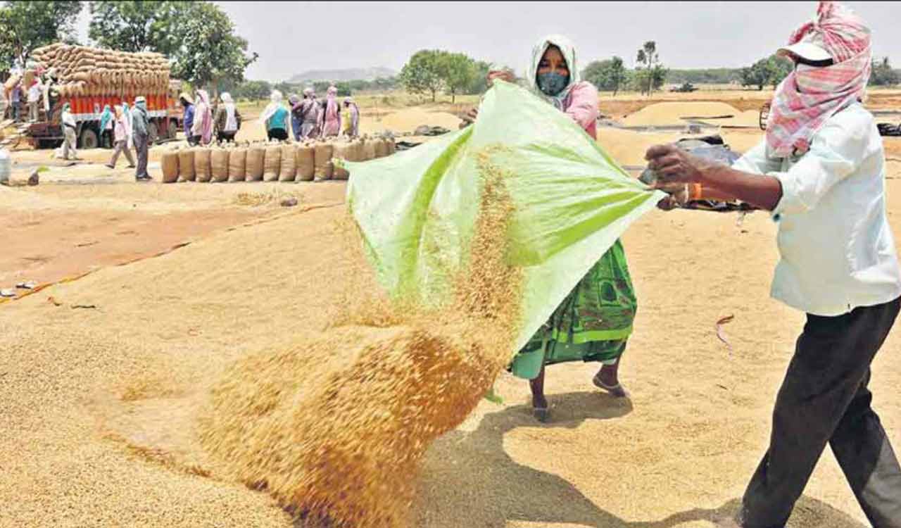 Paddy cultivation in Telangana goes up by 7 per cent as national average dips by 5.9 per cent