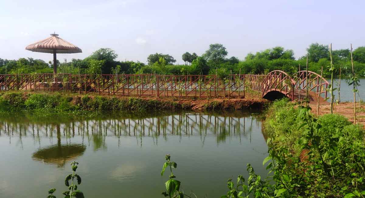 Telangana: Gandhari Vanam in Mancherial gets new lease of life