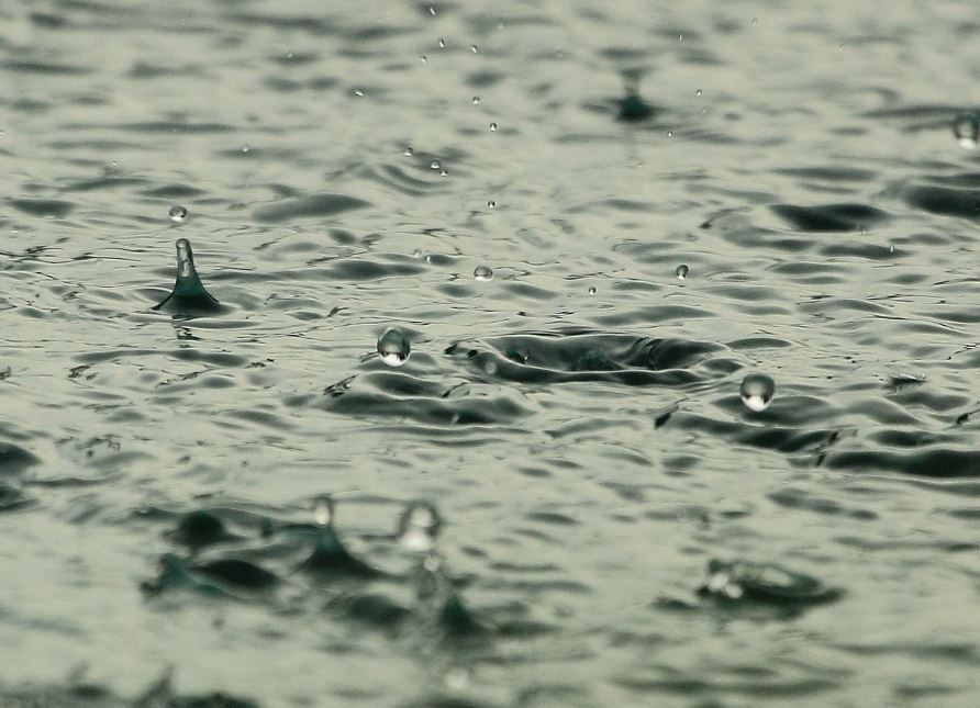 New study: Rainwater is unsafe to consume