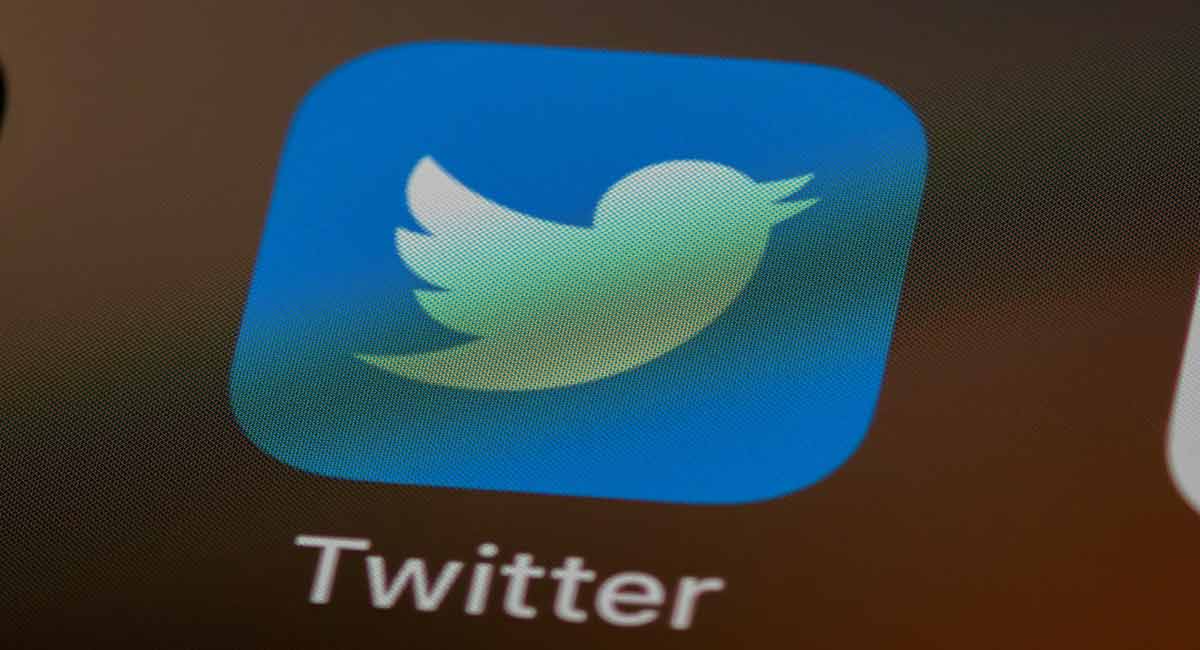 Musk’s Twitter friend Pranay Pathole says he is ‘down-to-earth’