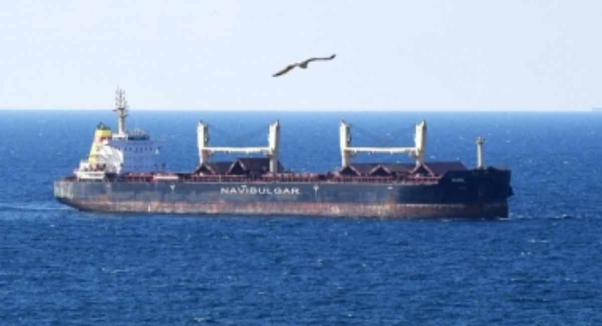 First ship carrying maize from Ukraine reaches final destination