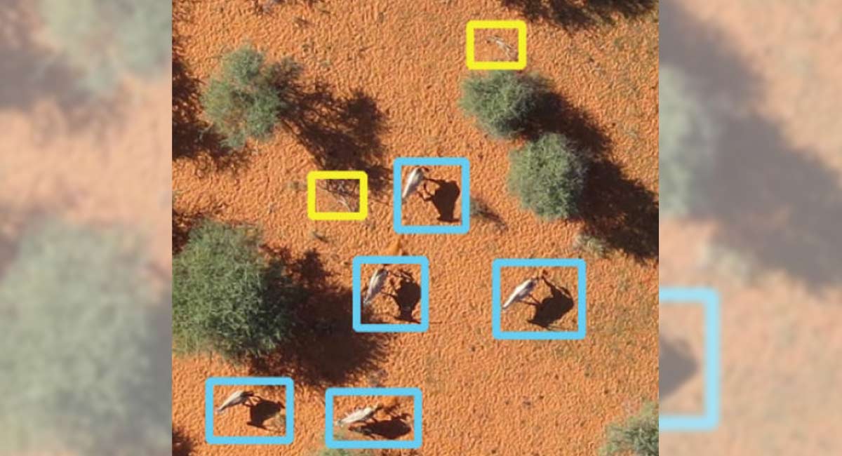 Telangana forest department to use AI in wildlife conservation