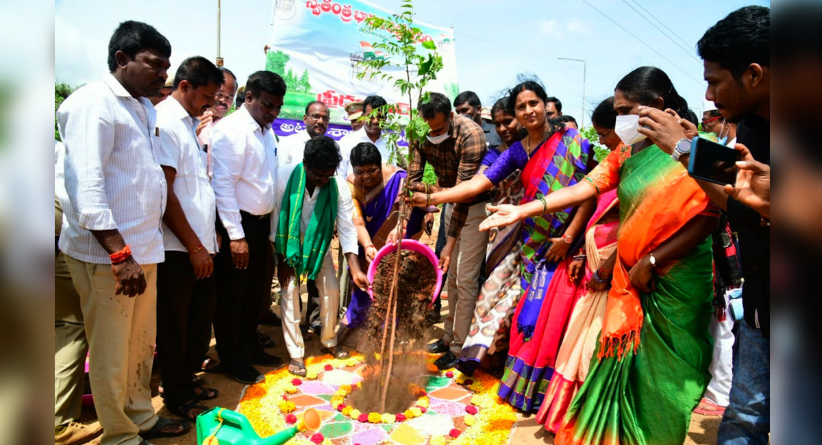 Greenery is symbol for growth: ZP Chairperson Kanumalla Vijaya