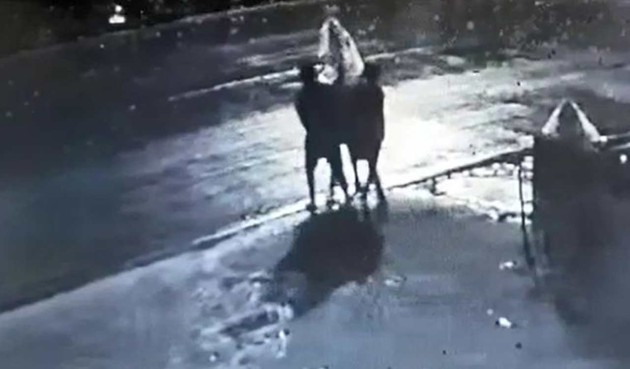 WATCH: Ganesh idol stolen in Hyderabad!