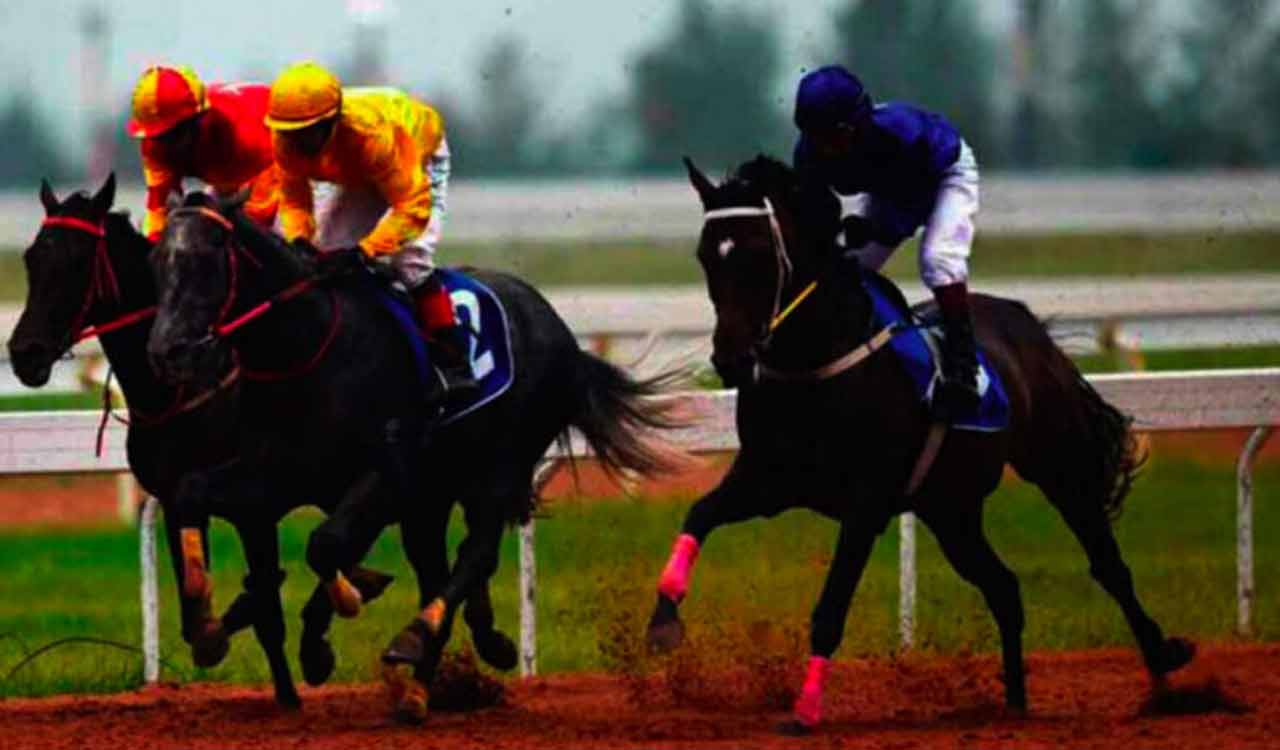 Racing: Corfe Castle wins Governor’s Cup