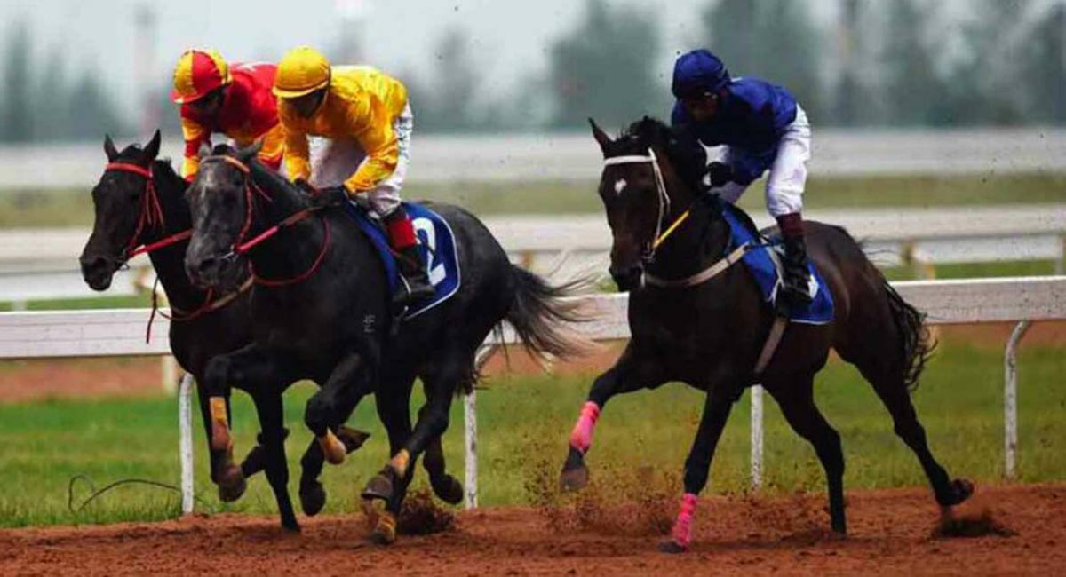 Horse Racing: Cape Tanaros fancied for Kolkata feature