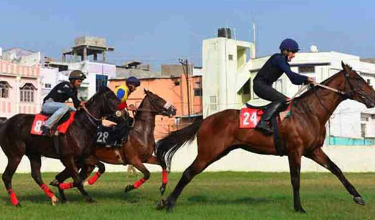 Horse Racing: Ashoka shines in morning trials