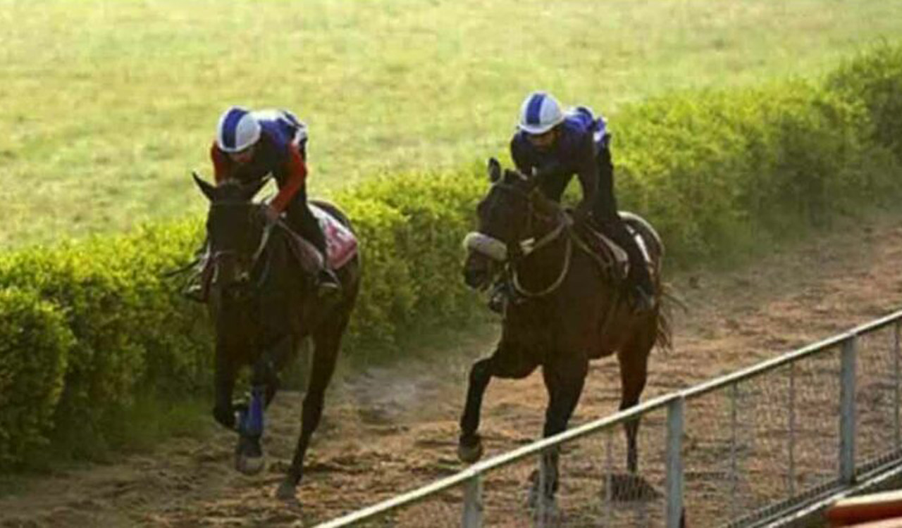 Racing: Endeavour has the edge in Pune feature