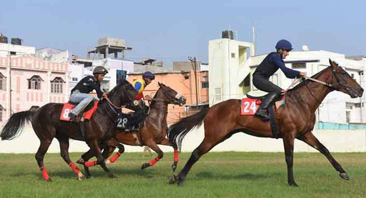 Horse Racing Lagarde wins Nizam’s Gold CupTelangana Today