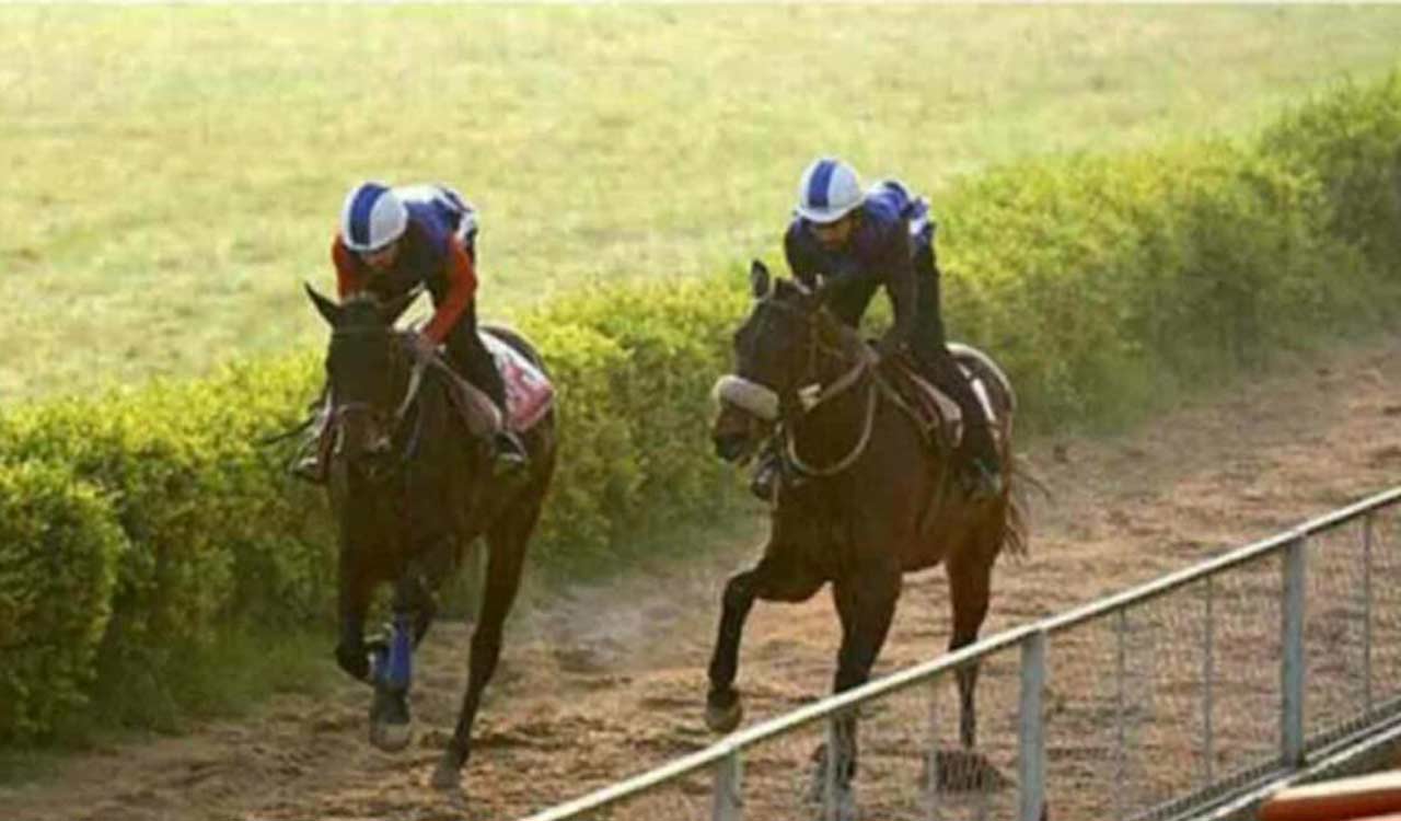 Racing: Falcon Edge, Sandown Park, Above The Law shine in trials