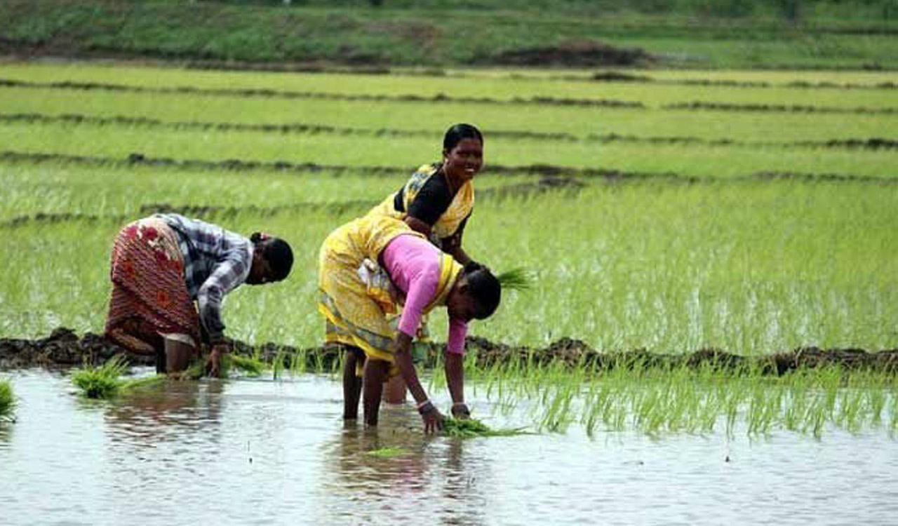 Farmers from 25 states tour Telangana to study farmer-friendly initiatives
