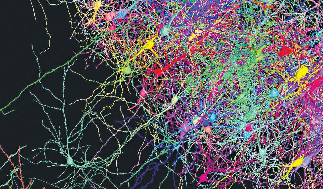 Health and Tech: Mapping the brain from scratch