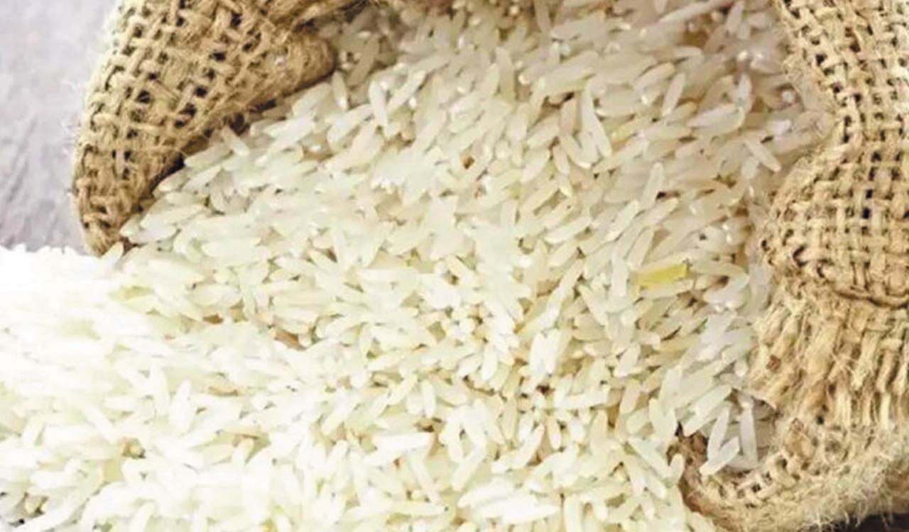 Broken rice in transit with certain conditions now allowed for export till September 30