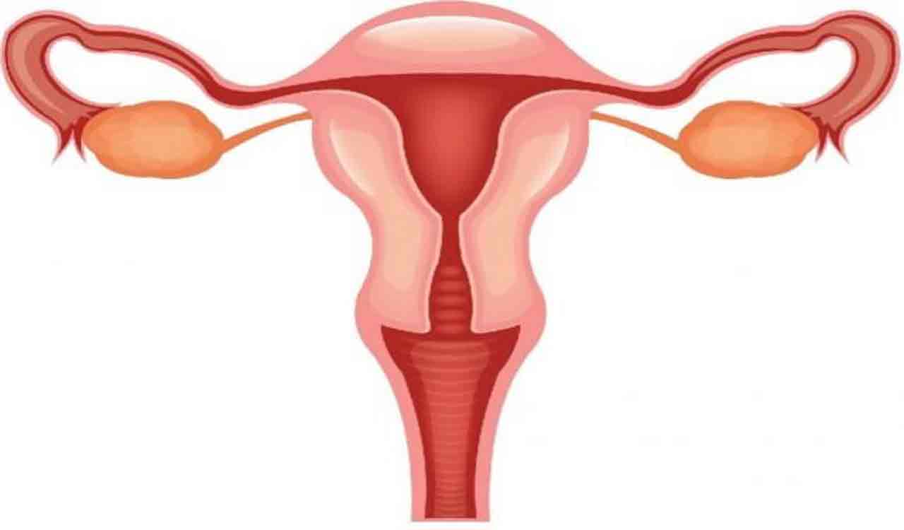 All you need to know about cervical cancer