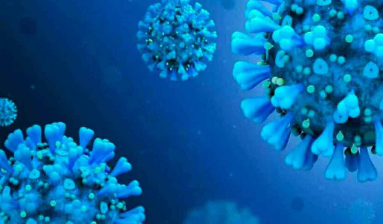 Covid-19 reduces placenta’s immune response: Study