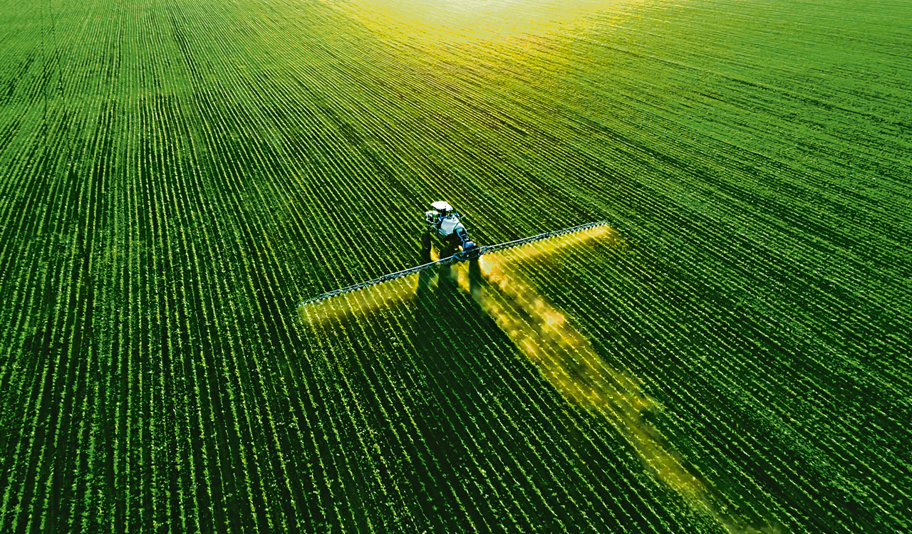 Opinion: Non-food crops eating up our food