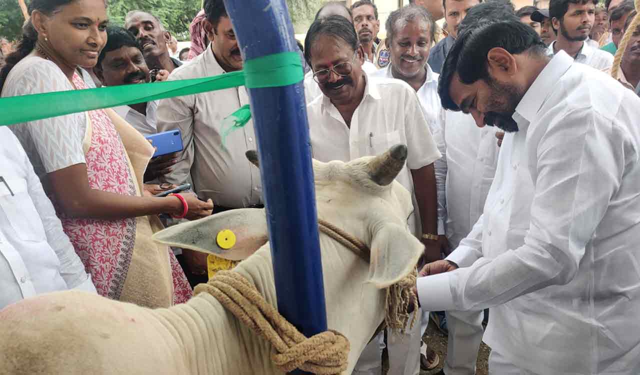 Living conditions in Telangana rural areas improved after 2014: Energy Minister