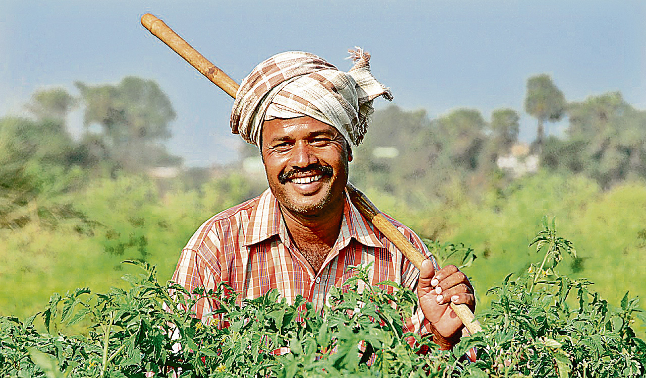 Opinion: Making the farm vision work