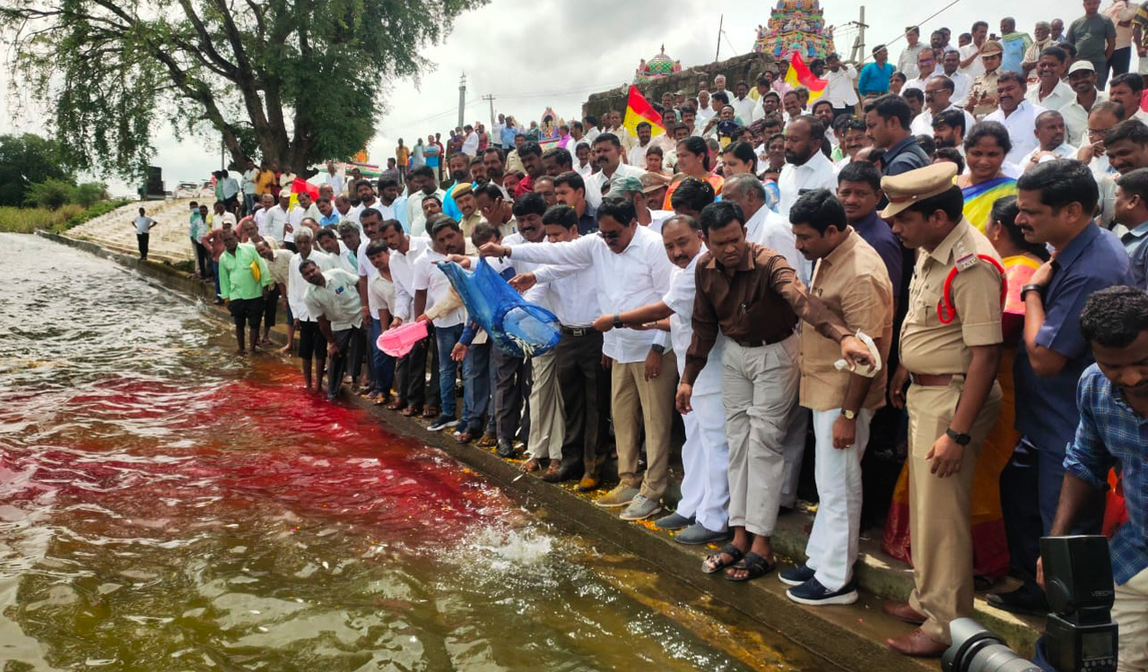 Warangal: 6.32 lakh fish seedlings released into Madannapet tank