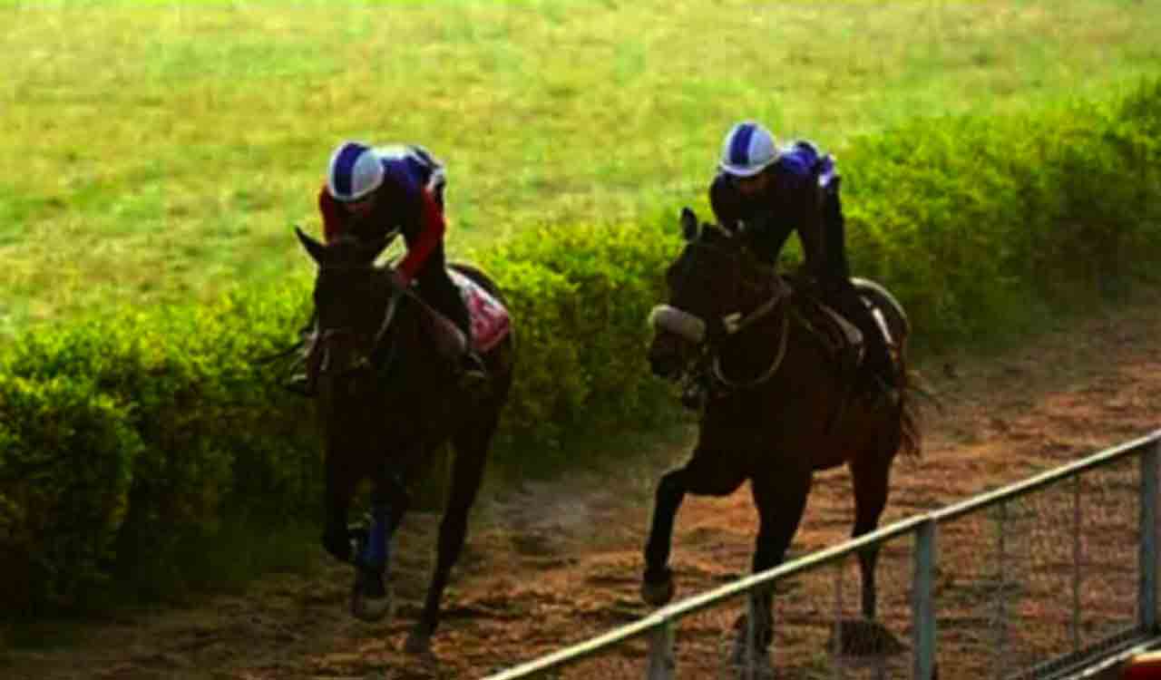 Horse Racing: Corfe Castle, Bugsy, Beauty Flame impress in trials