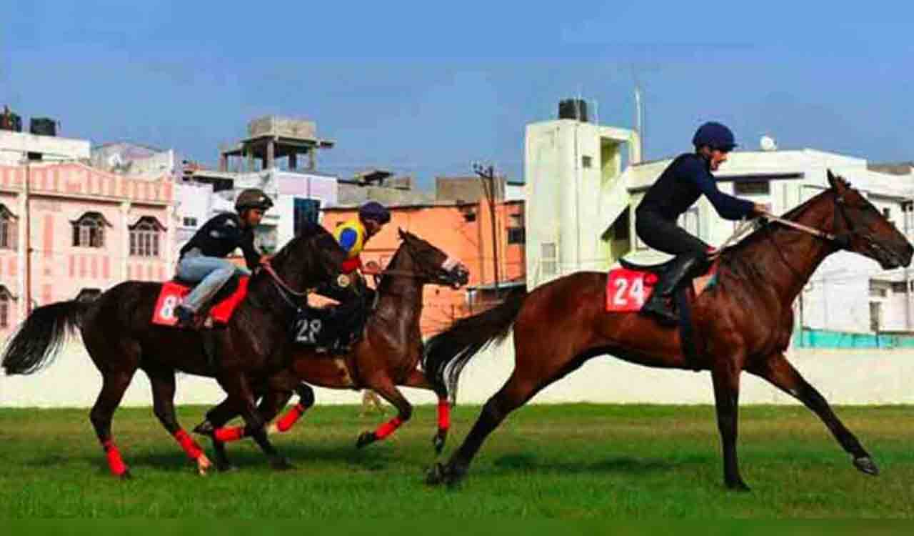 Horse Racing: Gods Plan has the edge in Chennai feature