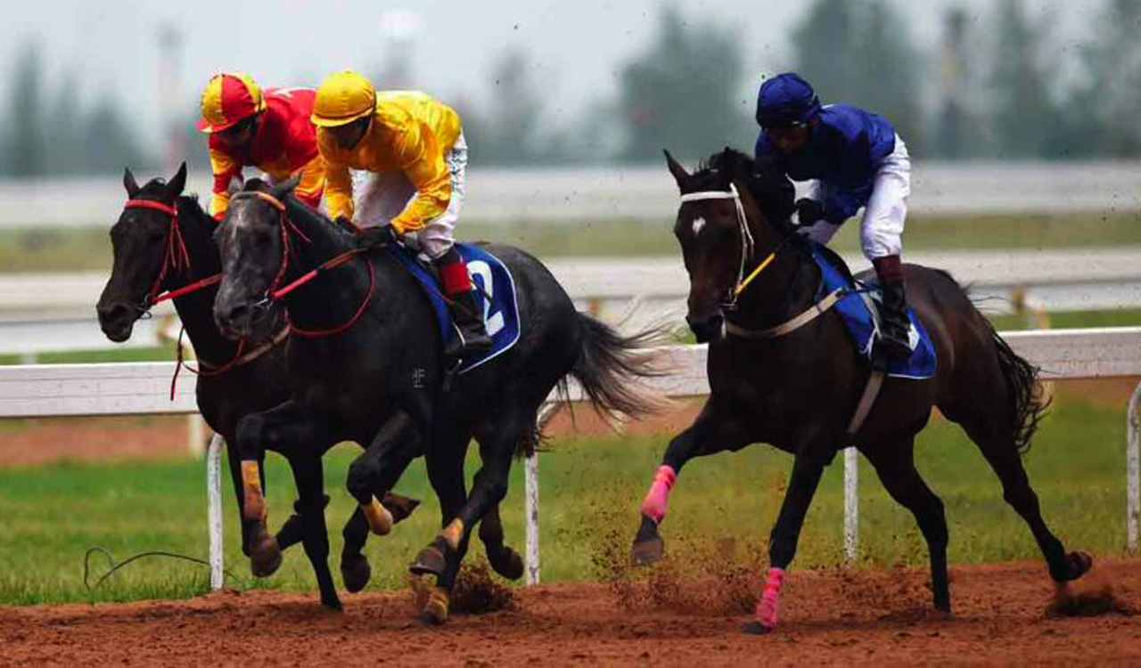 Horse Racing: Joaquin set for hat-trick in Pune feature