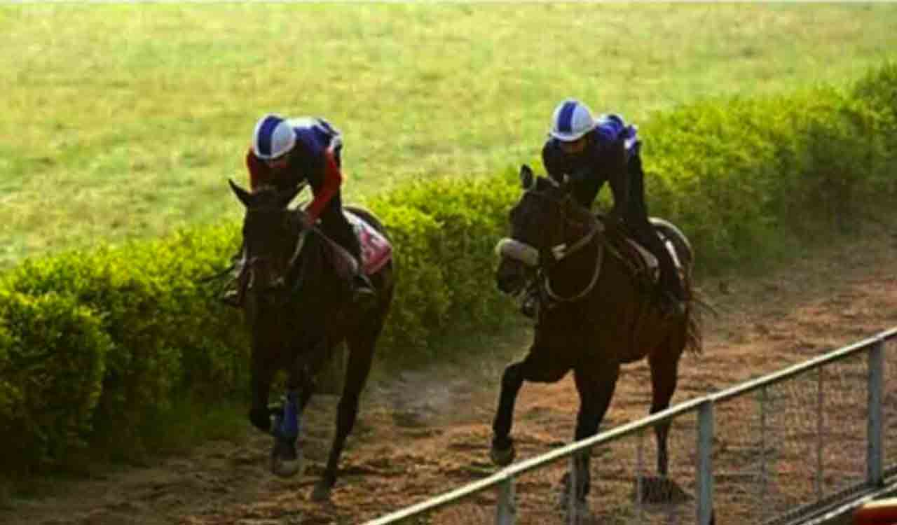 Horse racing: Francis Bacon, Painted Apache, Amalfitana impress in trials