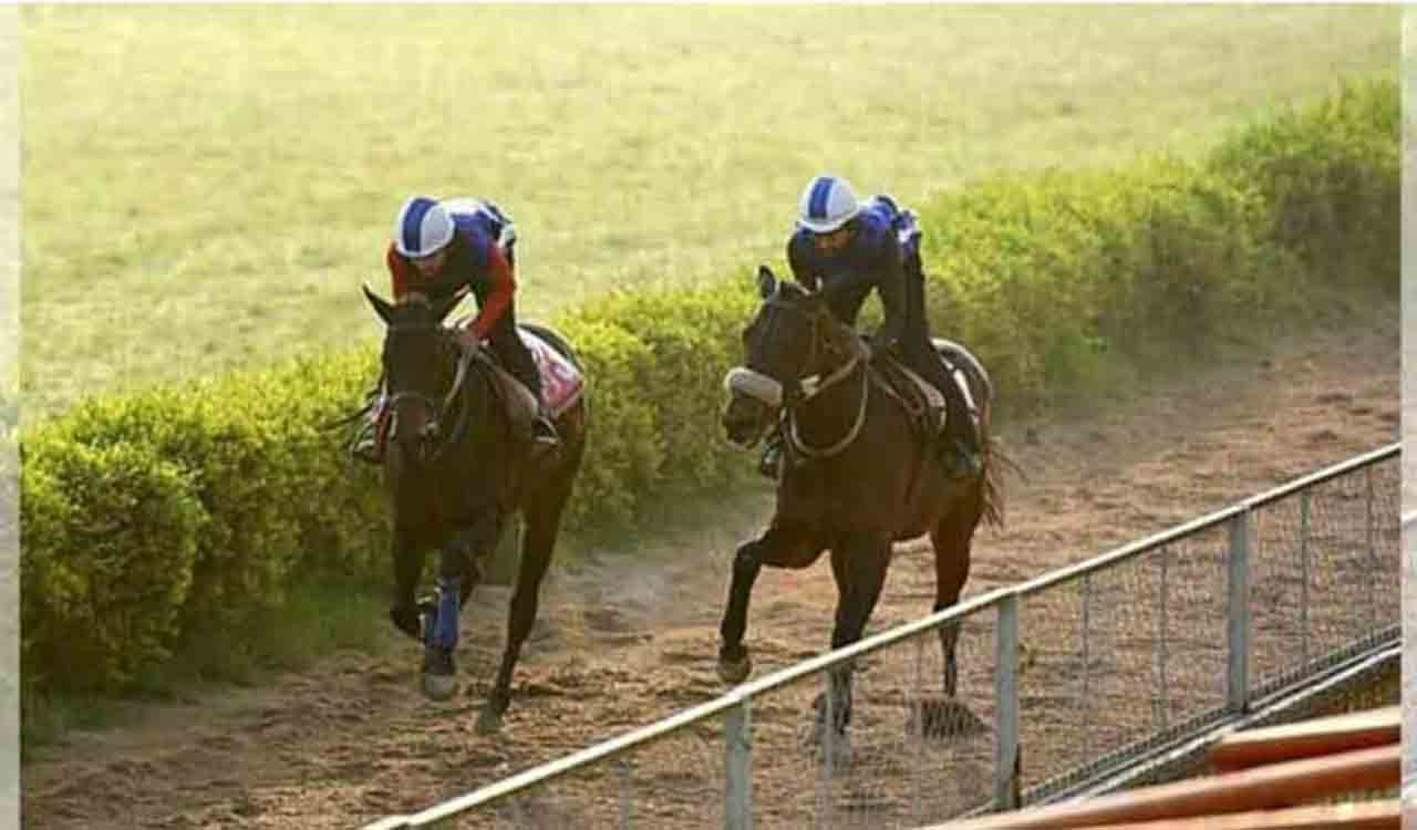 Horse Racing: Forever Together fancied for Mysuru selections