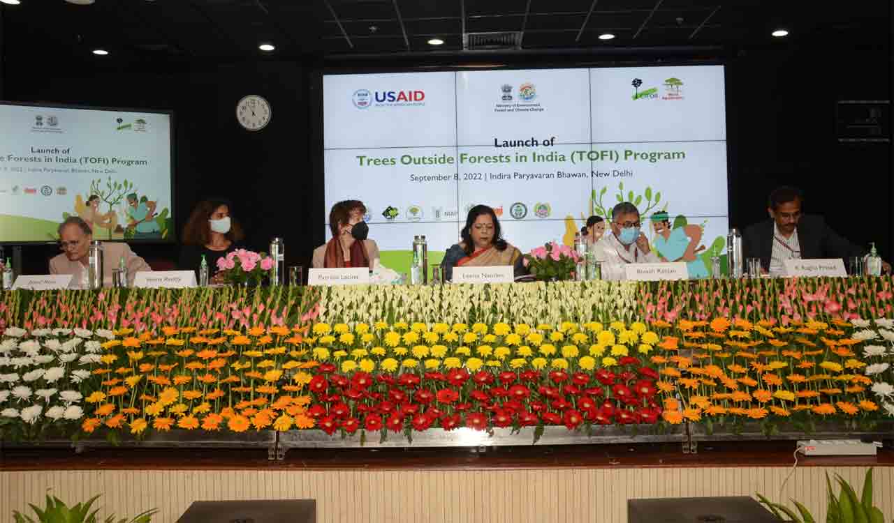 India, US launch new initiative to increase tree coverage in India