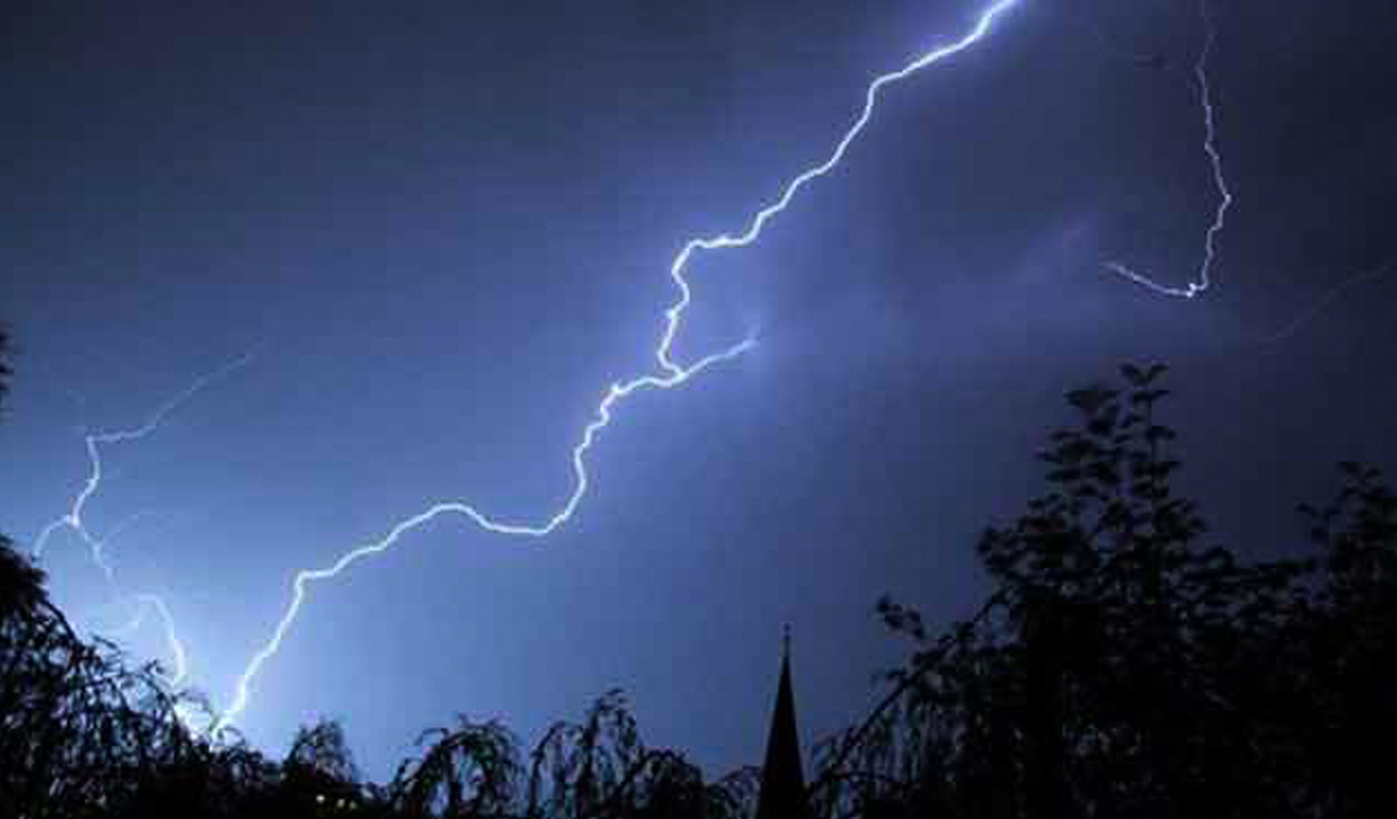 Telangana: 30 sheep killed by lightning in Sircilla