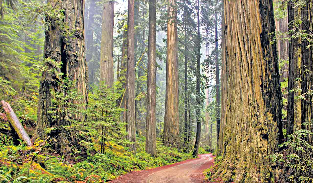 Learn about the workings of nature