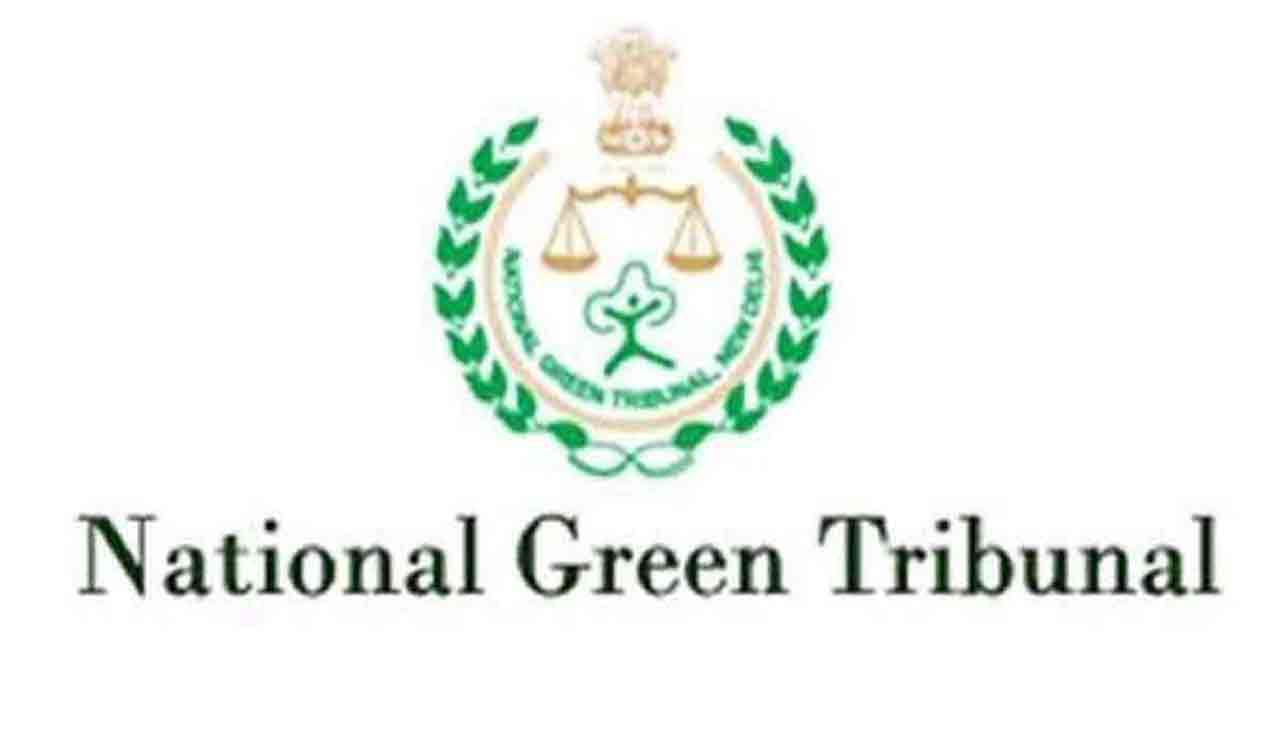 NGT imposes environment compensation of Rs 100 cr on Haryana for green damages