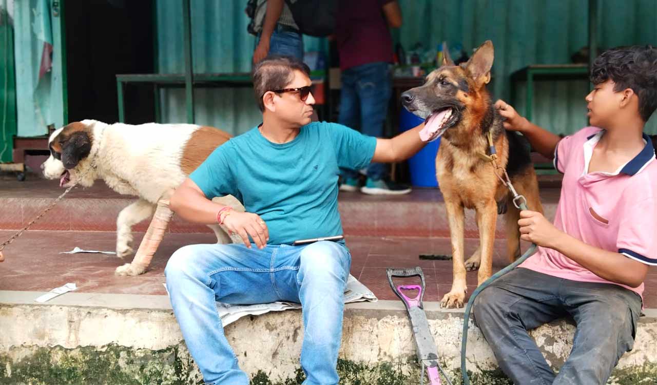 Pitbulls, German Shepherds spread terror in Noida-Ghaziabad