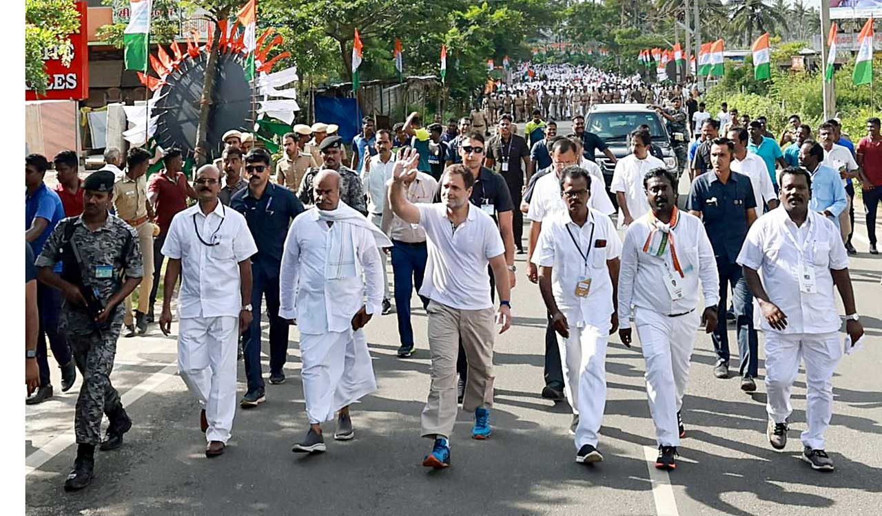 T-shirt war between BJP, Congress: Does Rahul Gandhi’s shirt cost Rs 41K?